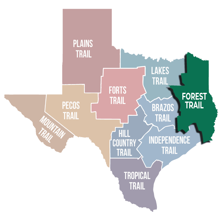 state-trail-map_forest-highlight