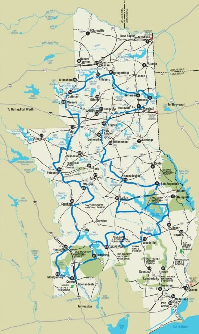 Forest-Trail-Region-Map